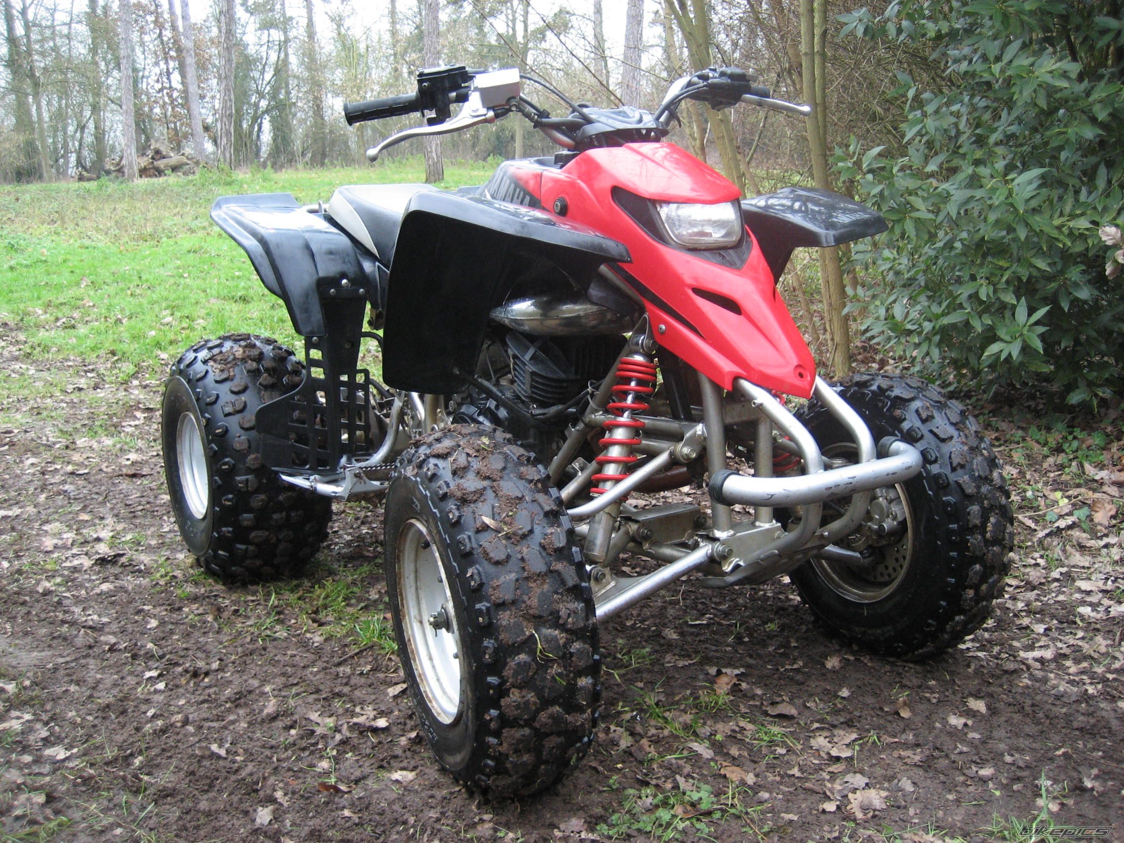 2004 YAMAHA BLASTER | Picture 789378 motorcycle photo