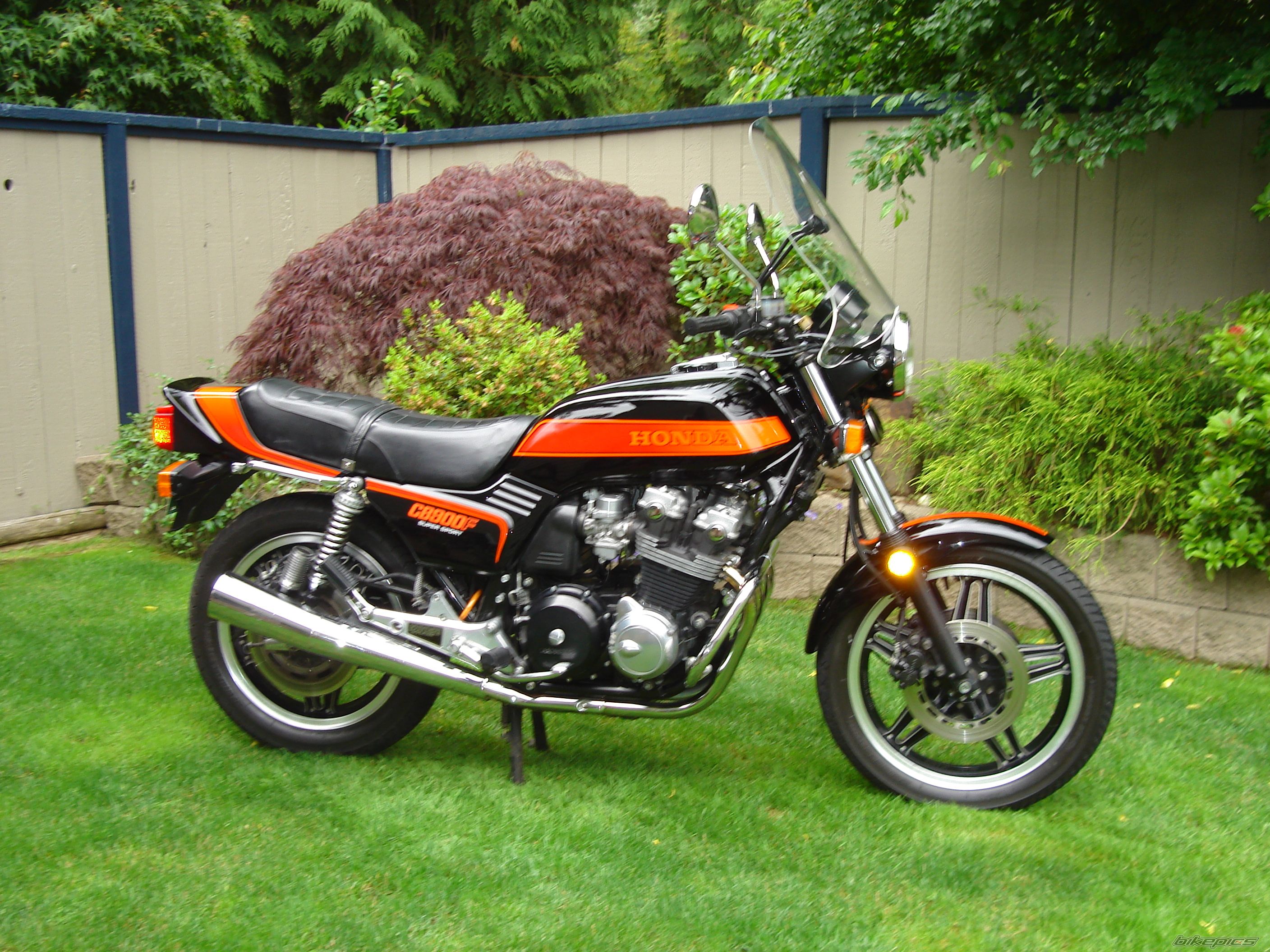 1981 HONDA CB 900 | Picture 790468 motorcycle photo