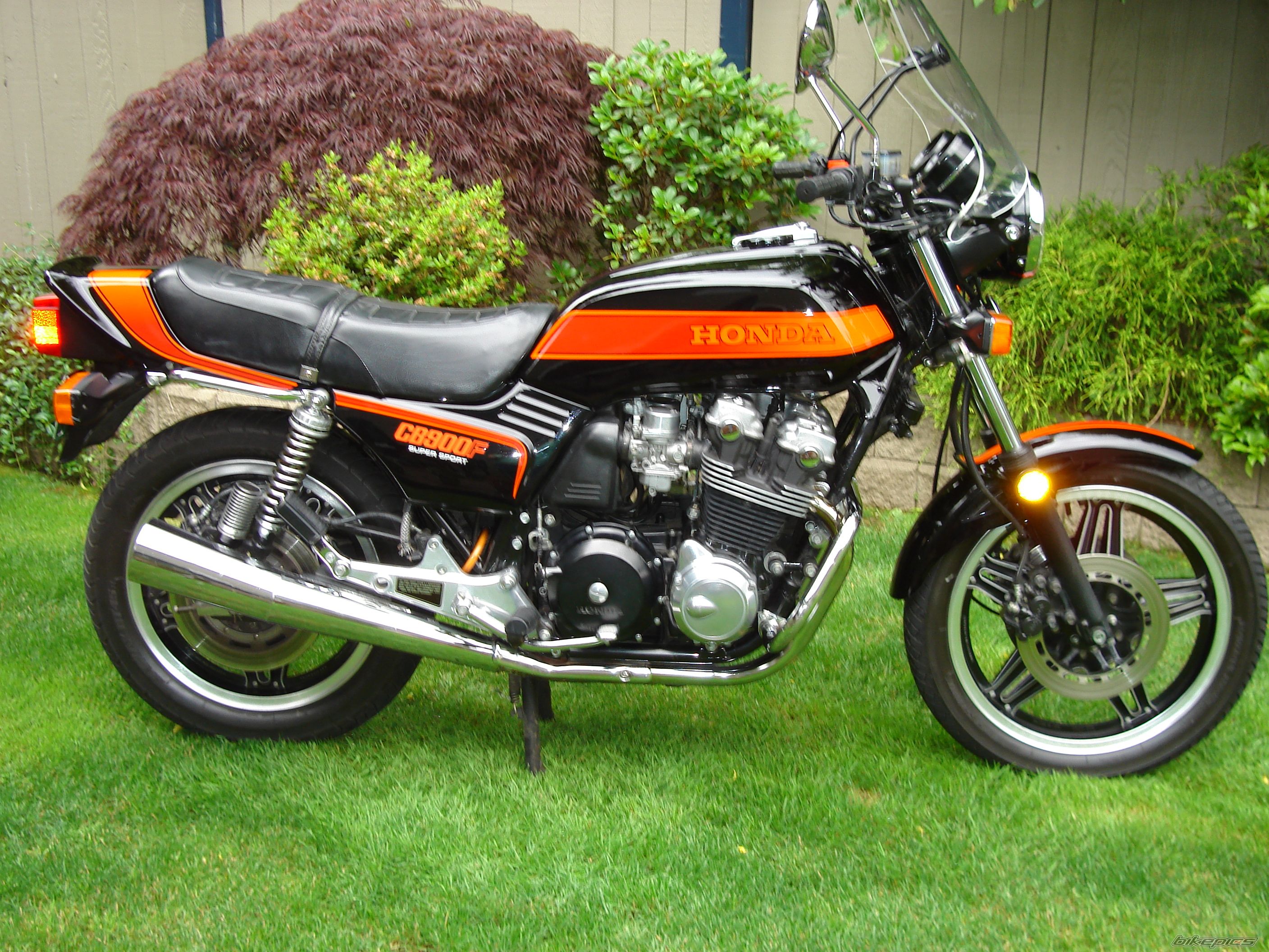 1981 HONDA CB 900 | Picture 790469 motorcycle photo