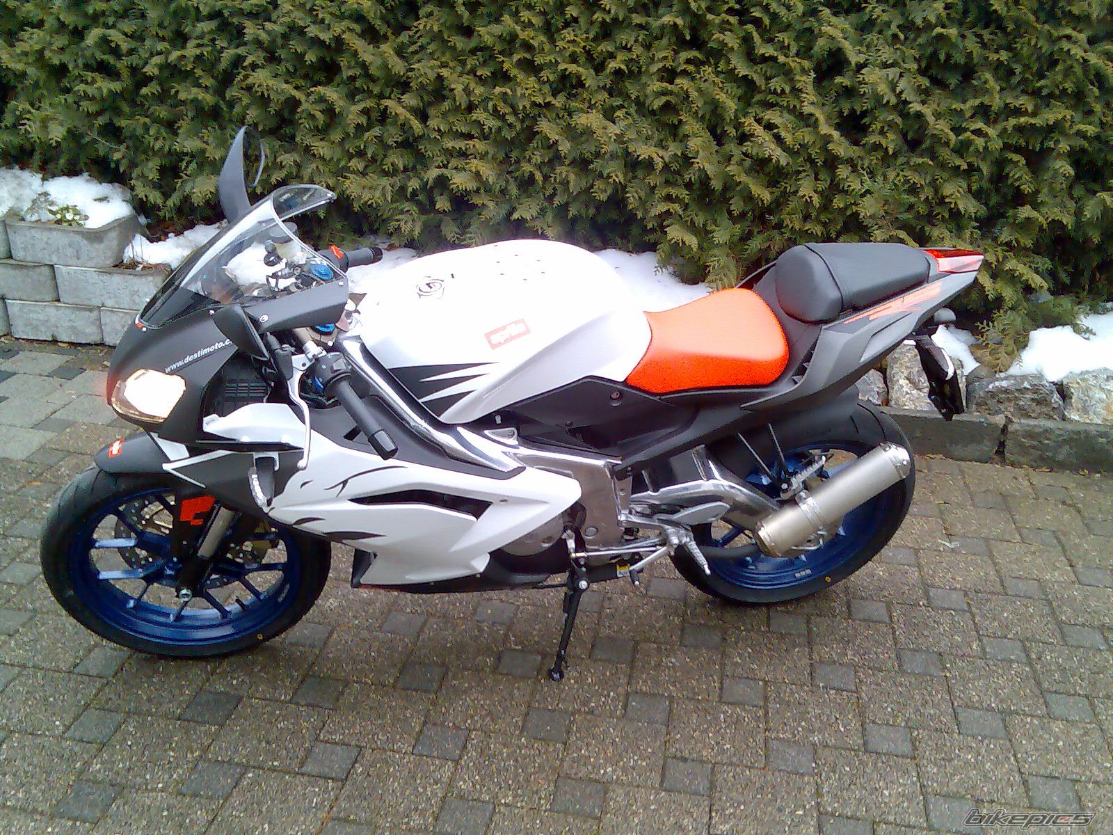 2006 APRILIA RS 125 | Picture 790868 motorcycle photo