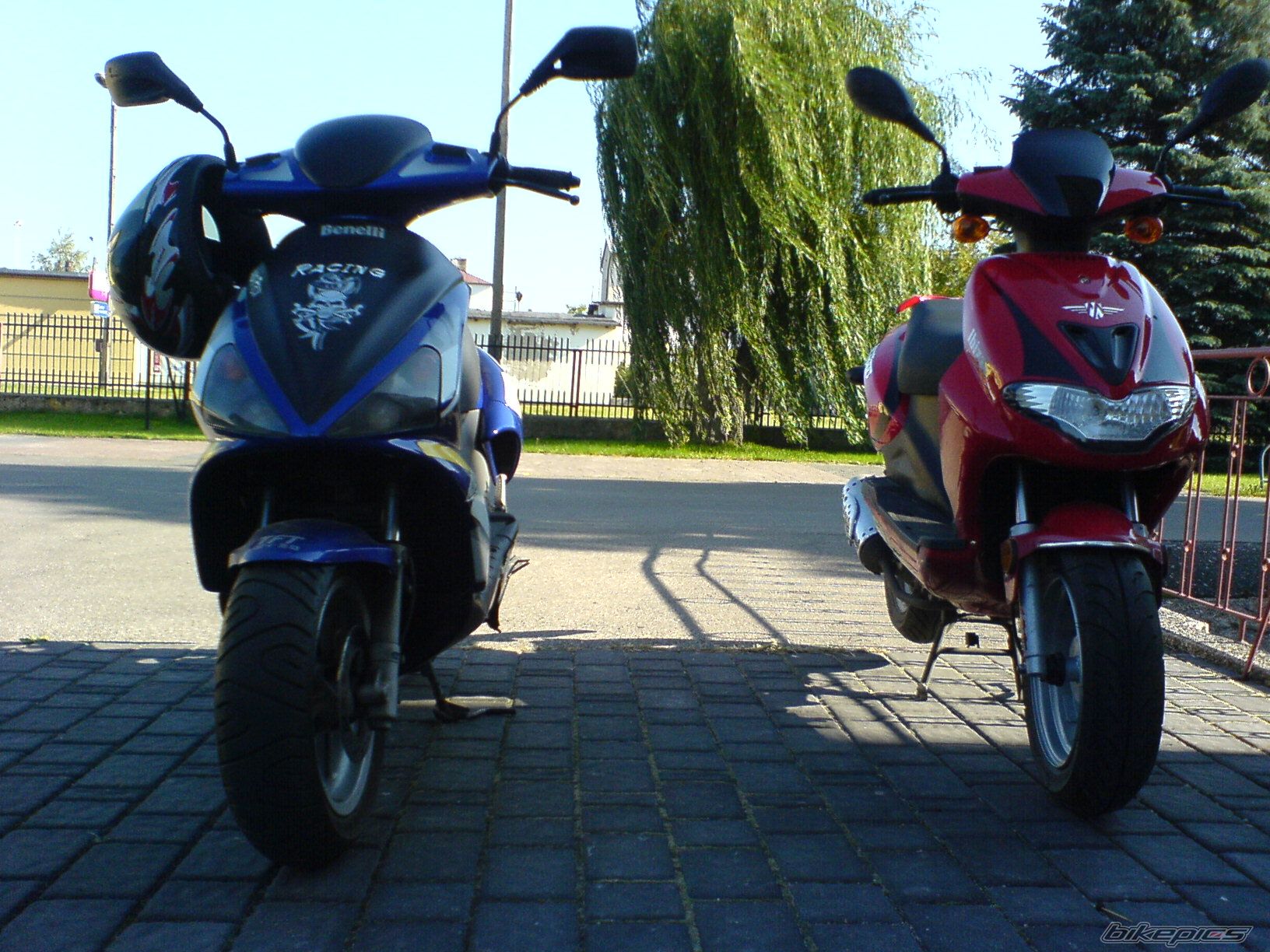2001 BENELLI 491 | Picture 792468 motorcycle photo