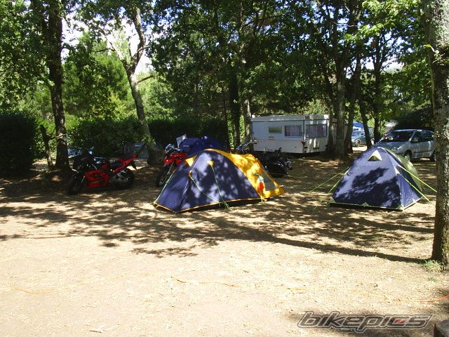 2003 HONDA CBR 1000  RR | Picture 792695 motorcycle photo