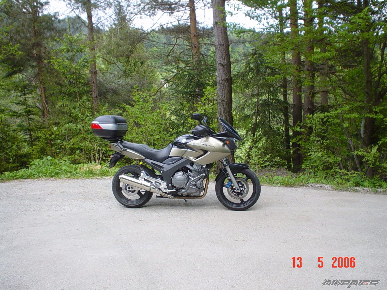 2005 YAMAHA TDM 900 | Picture 793541 motorcycle photo