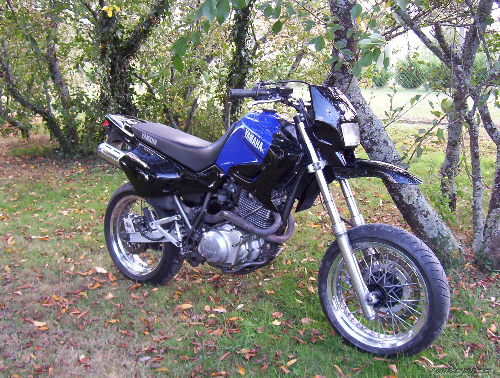 1998 YAMAHA XT 600 | Picture 794091 motorcycle photo