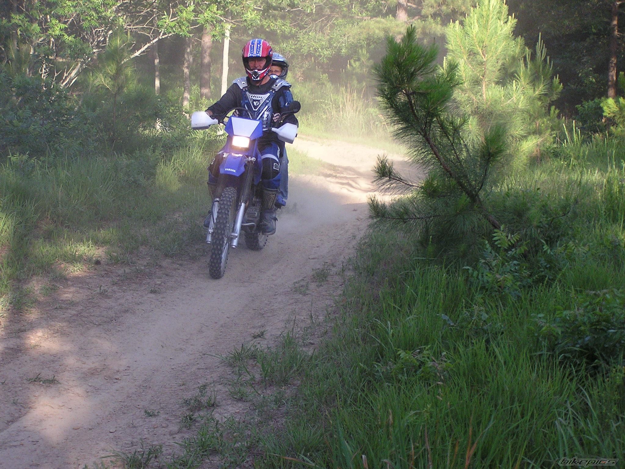 2005 YAMAHA TTR 250 | Picture 794723 motorcycle photo