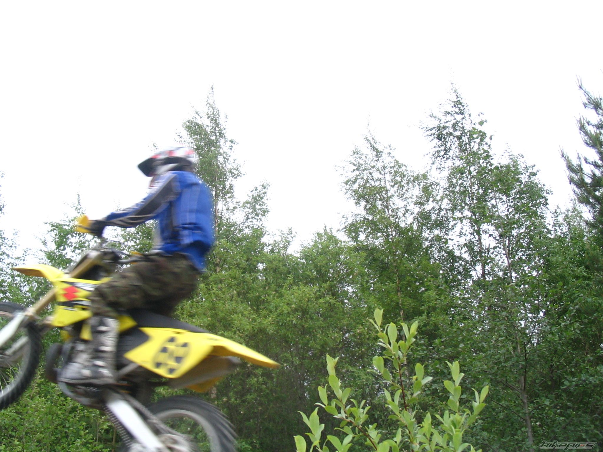 2004 SUZUKI RM 250 | Picture 795207 motorcycle photo
