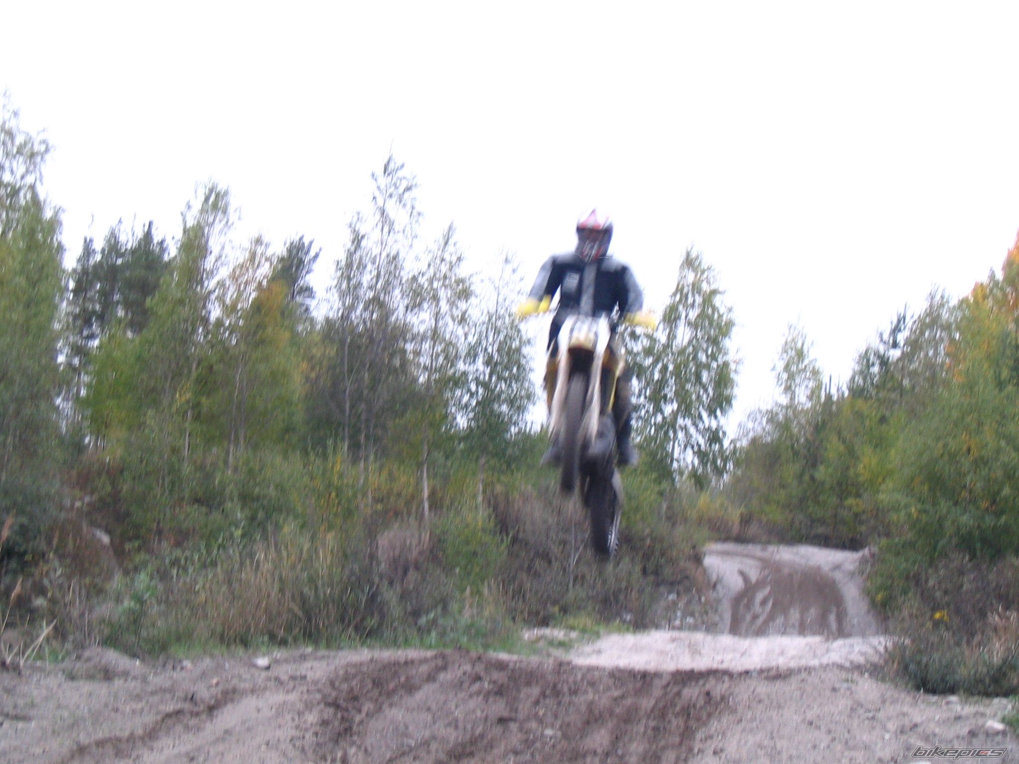2004 SUZUKI RM 250 | Picture 795220 motorcycle photo