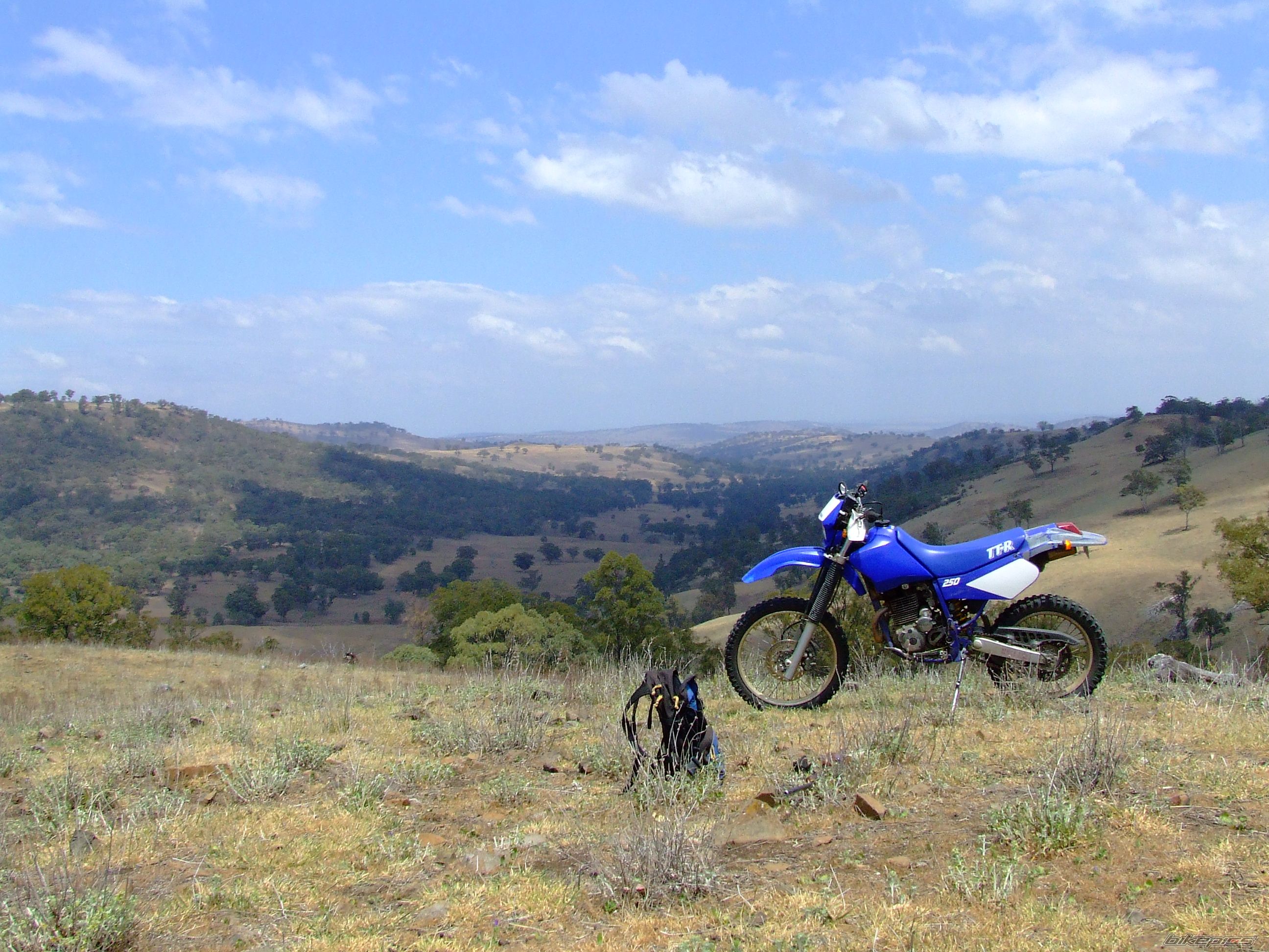 1999 YAMAHA TTR 250 | Picture 795303 motorcycle photo