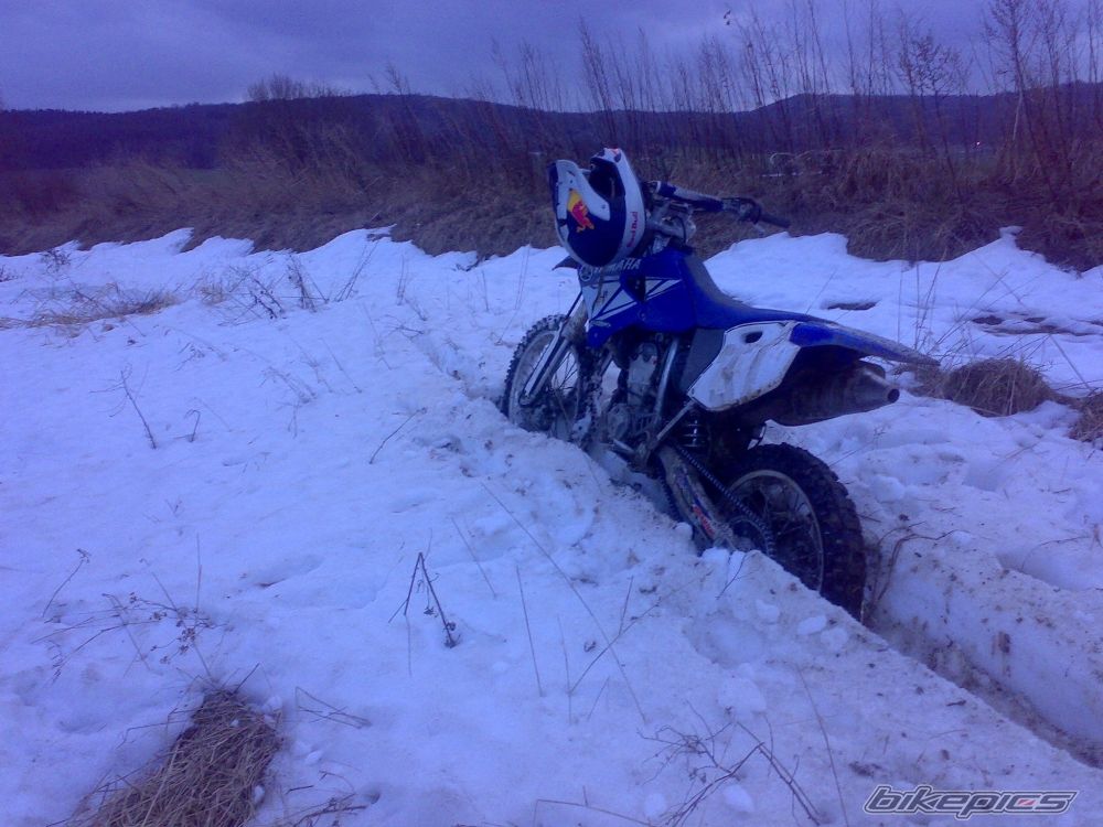 2002 YAMAHA YZ 250F | Picture 795469 motorcycle photo