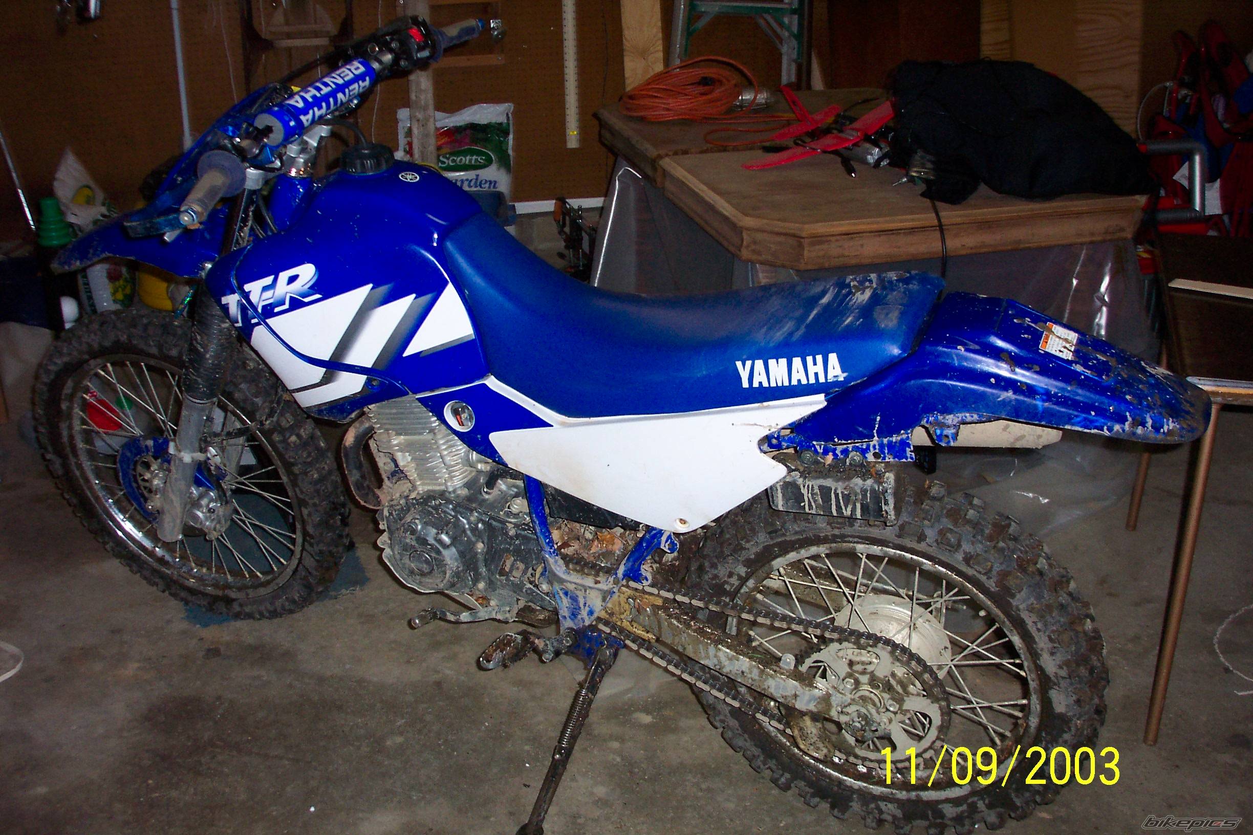 2003 YAMAHA TTR 250 | Picture 79624 motorcycle photo