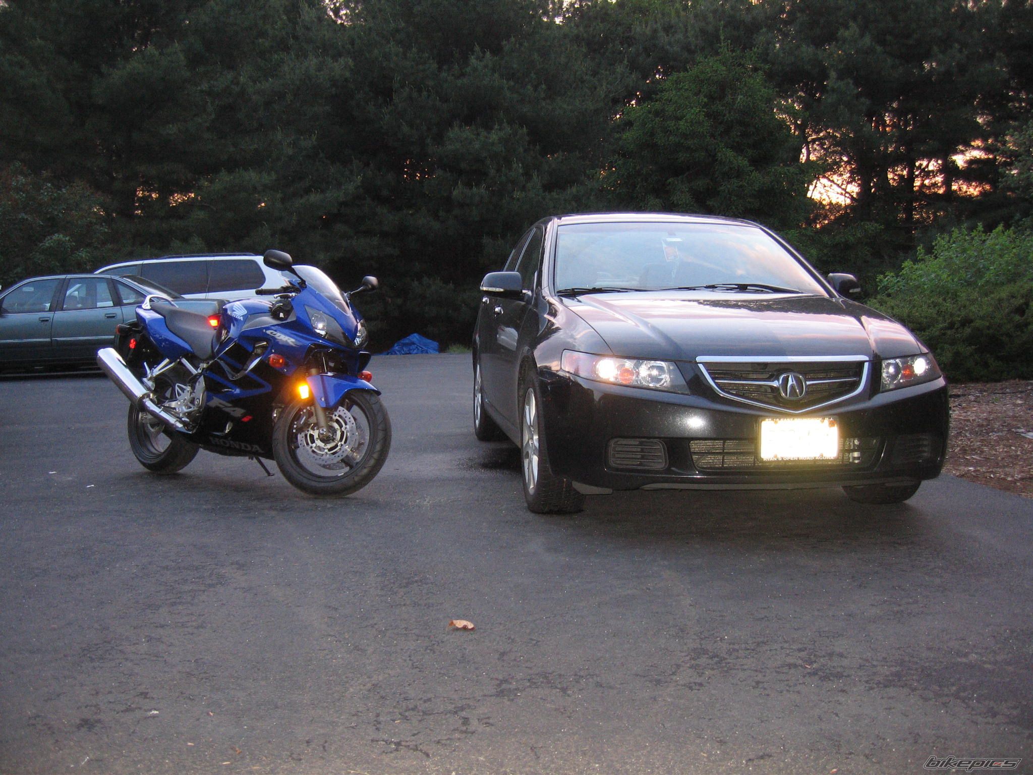 2006 HONDA CBR 600 | Picture 796866 motorcycle photo