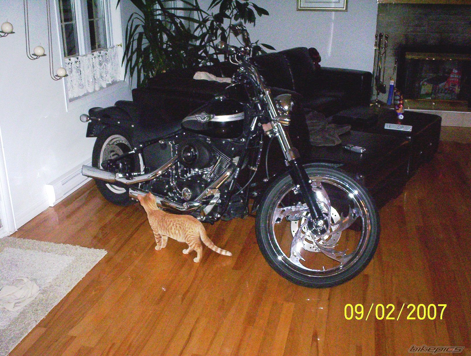 2003 HARLEY DAVIDSON FXSTB | Picture 796950 motorcycle photo