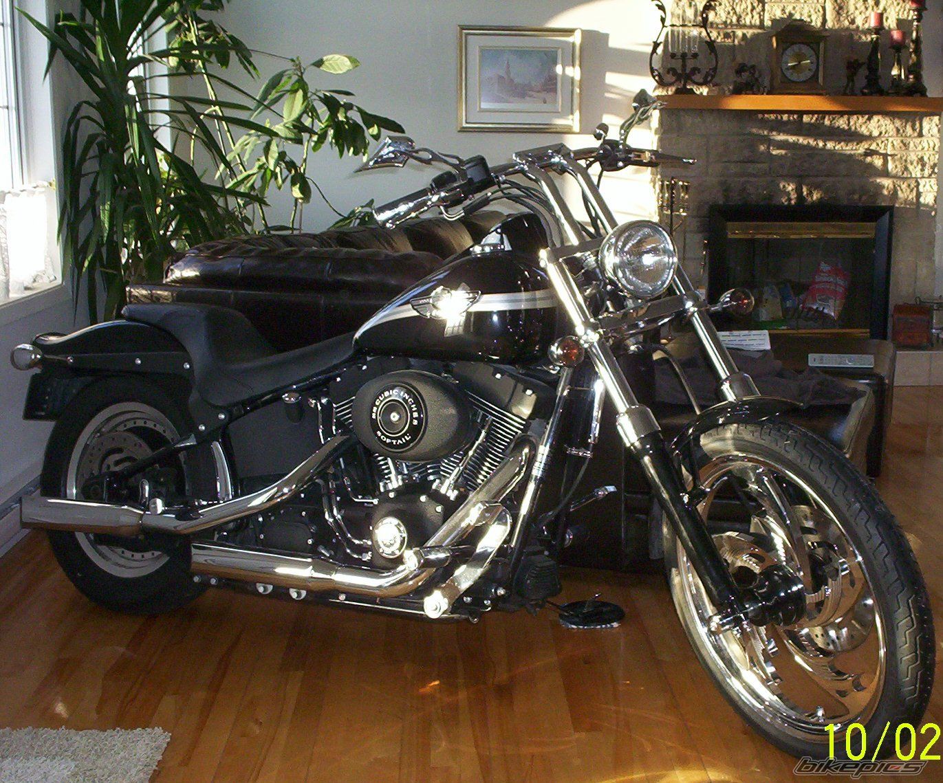 2003 HARLEY DAVIDSON FXSTB | Picture 797194 motorcycle photo