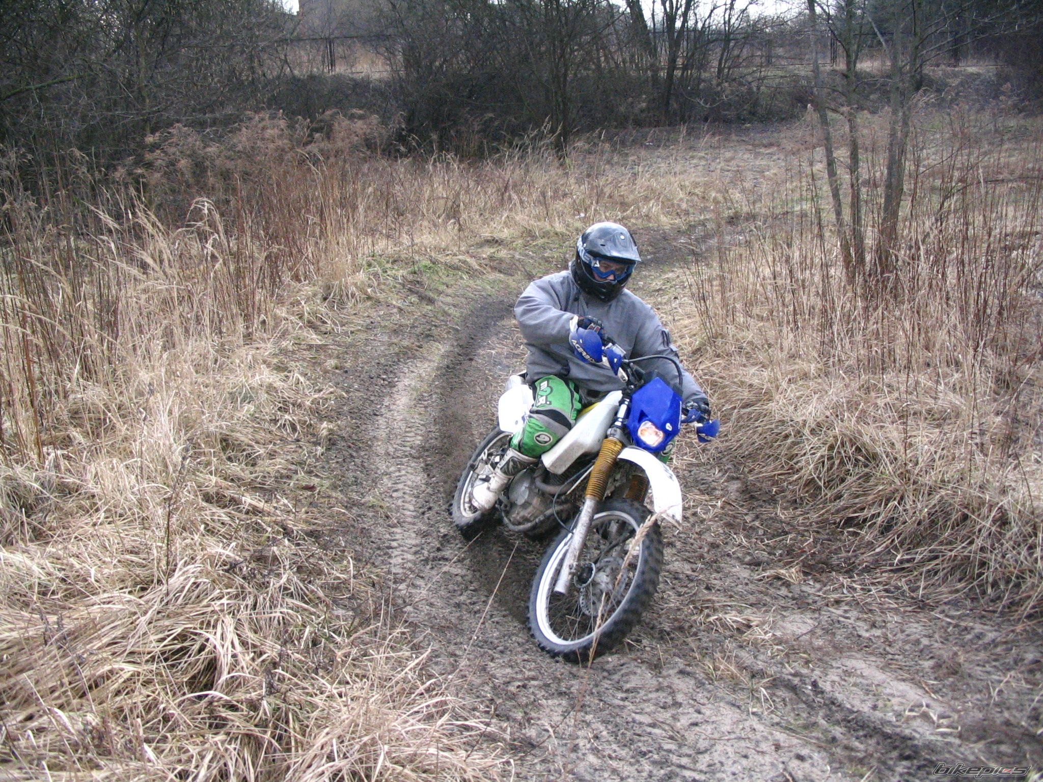 1993 SUZUKI DR 350 | Picture 797258 motorcycle photo