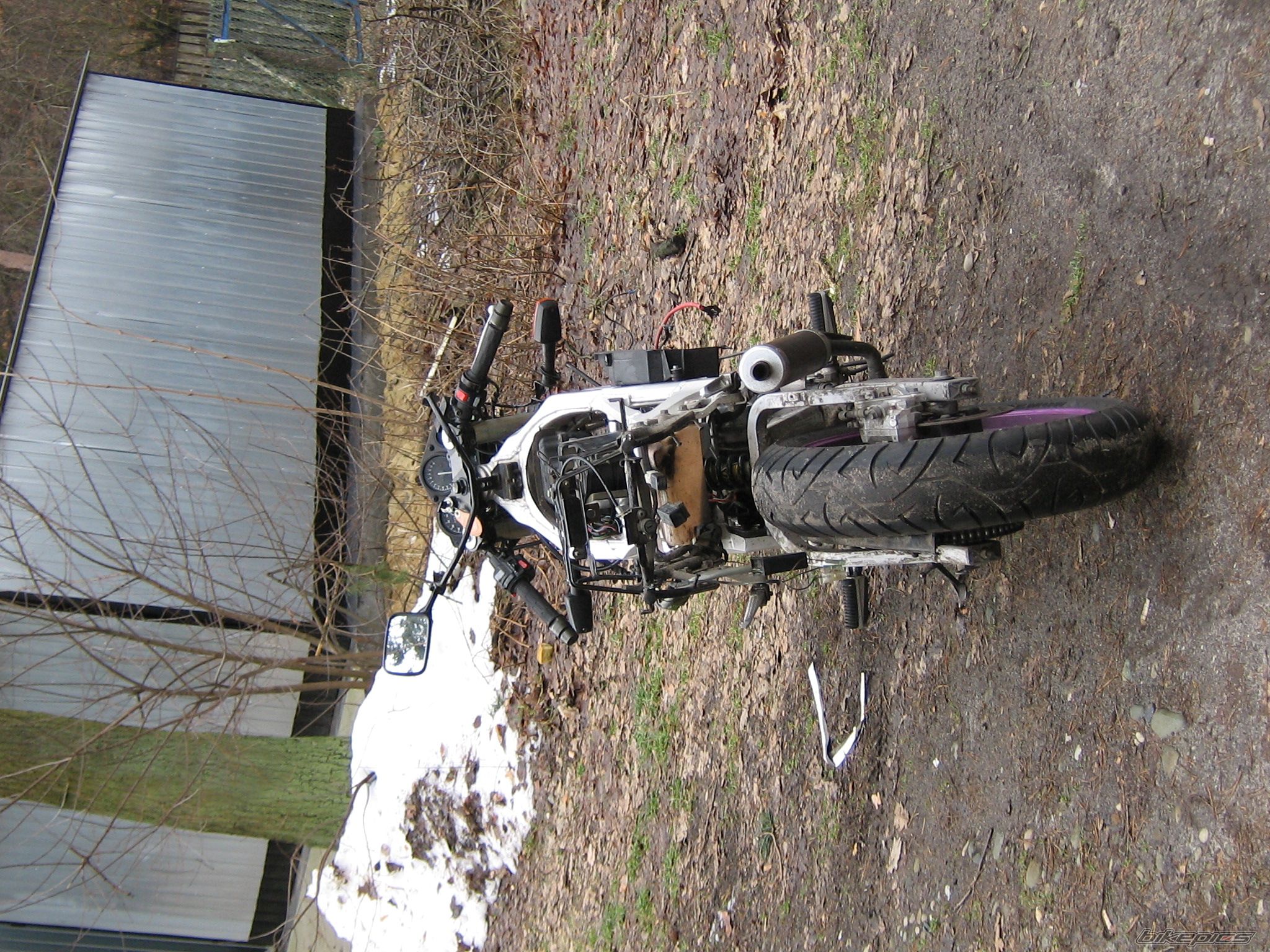 2006 YAMAHA TZR 125 | Picture 797267 motorcycle photo