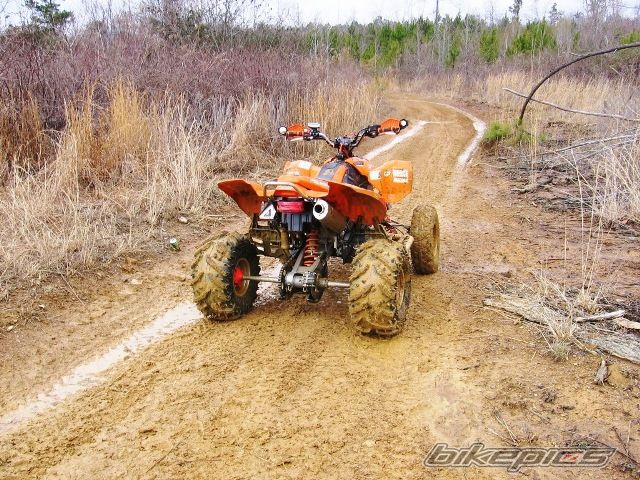 2005 POLARIS PREDATOR 500 | Picture 797392 motorcycle photo