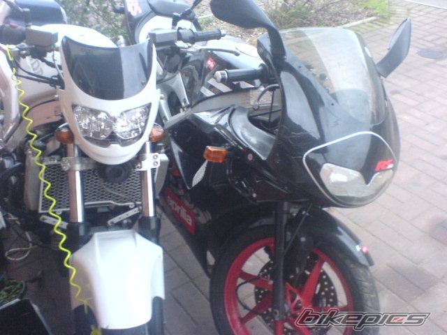 1998 APRILIA RS 50 | Picture 797553 motorcycle photo