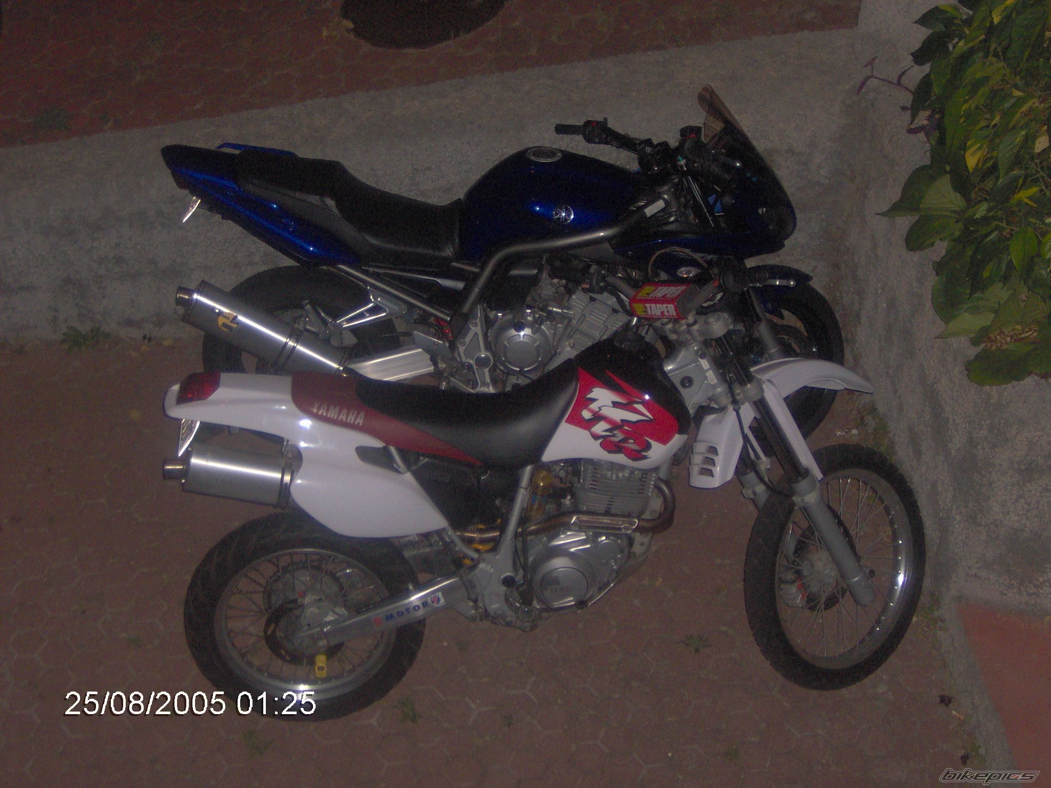 1998 YAMAHA TTR 600 | Picture 797782 motorcycle photo
