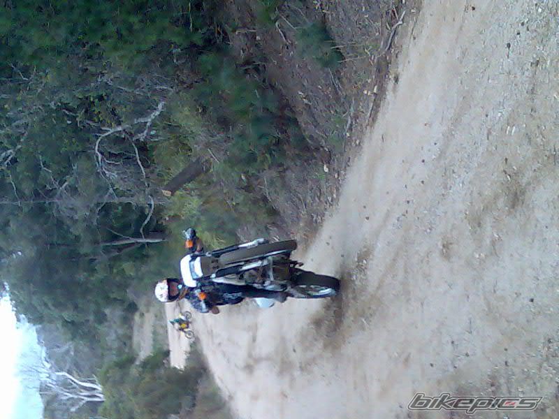 2000 SUZUKI RMX 250 | Picture 797896 motorcycle photo