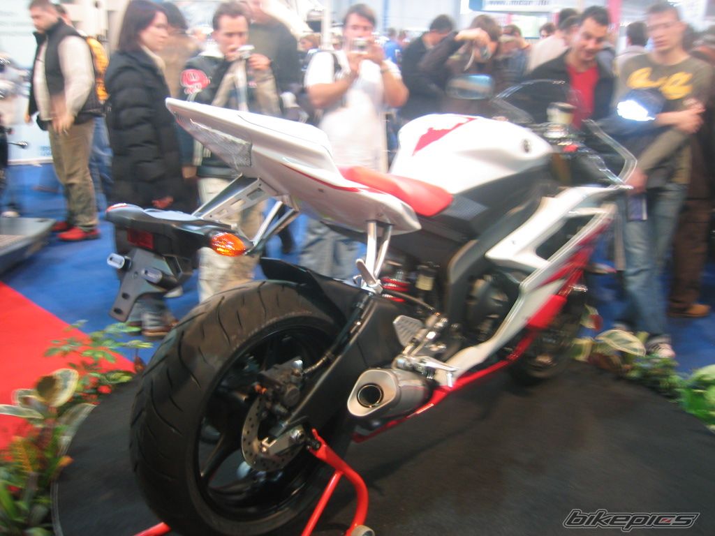 2006 YAMAHA YZF R6 | Picture 797953 motorcycle photo
