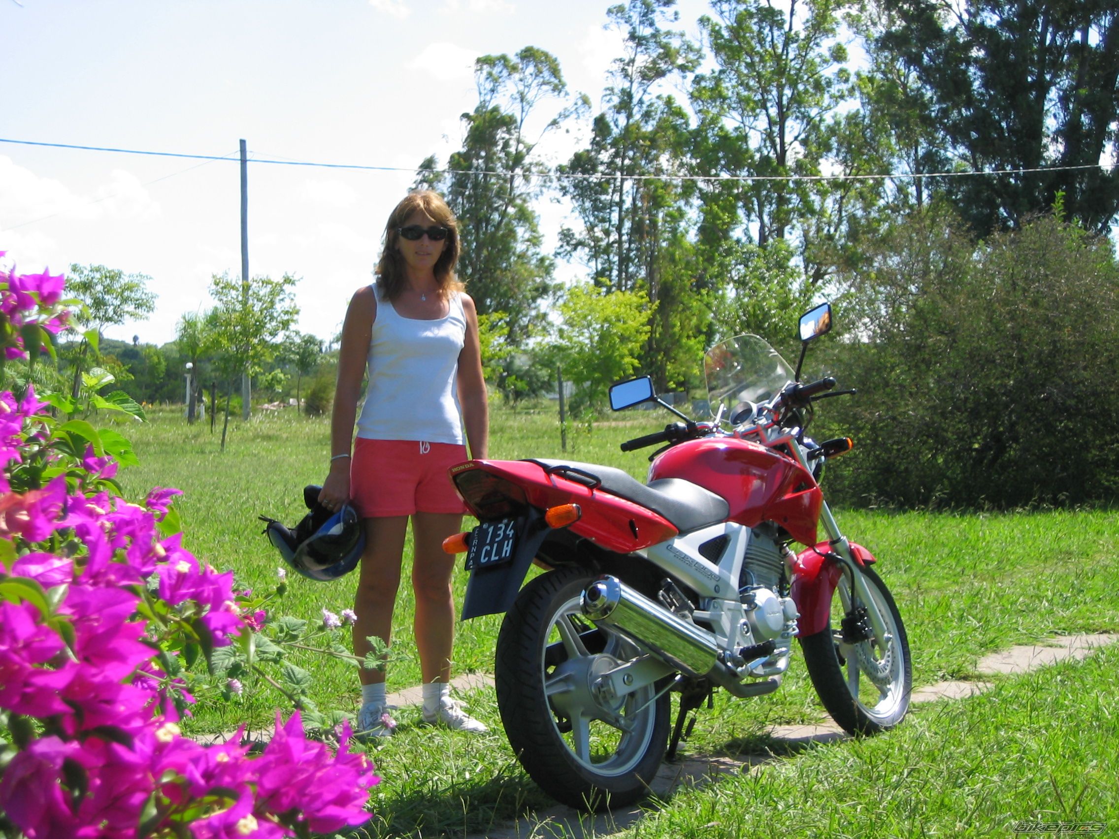 2005 HONDA CBX 250 | Picture 798166 motorcycle photo