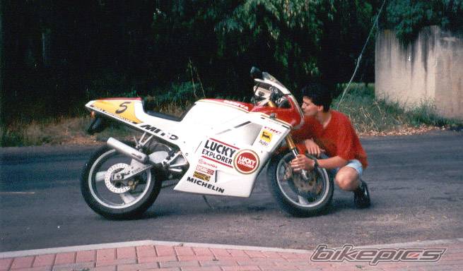 2003 YAMAHA YZF R1 | Picture 79829 motorcycle photo