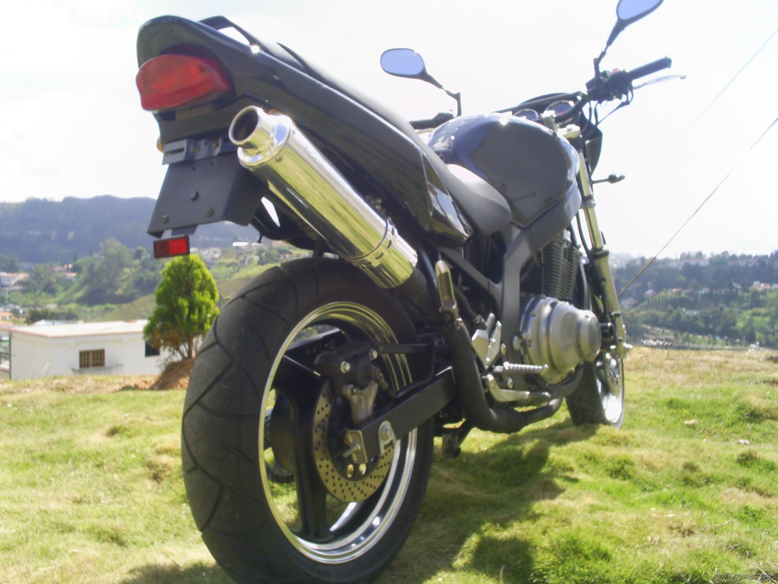 2007 SUZUKI GS 500 | Picture 798478 motorcycle photo