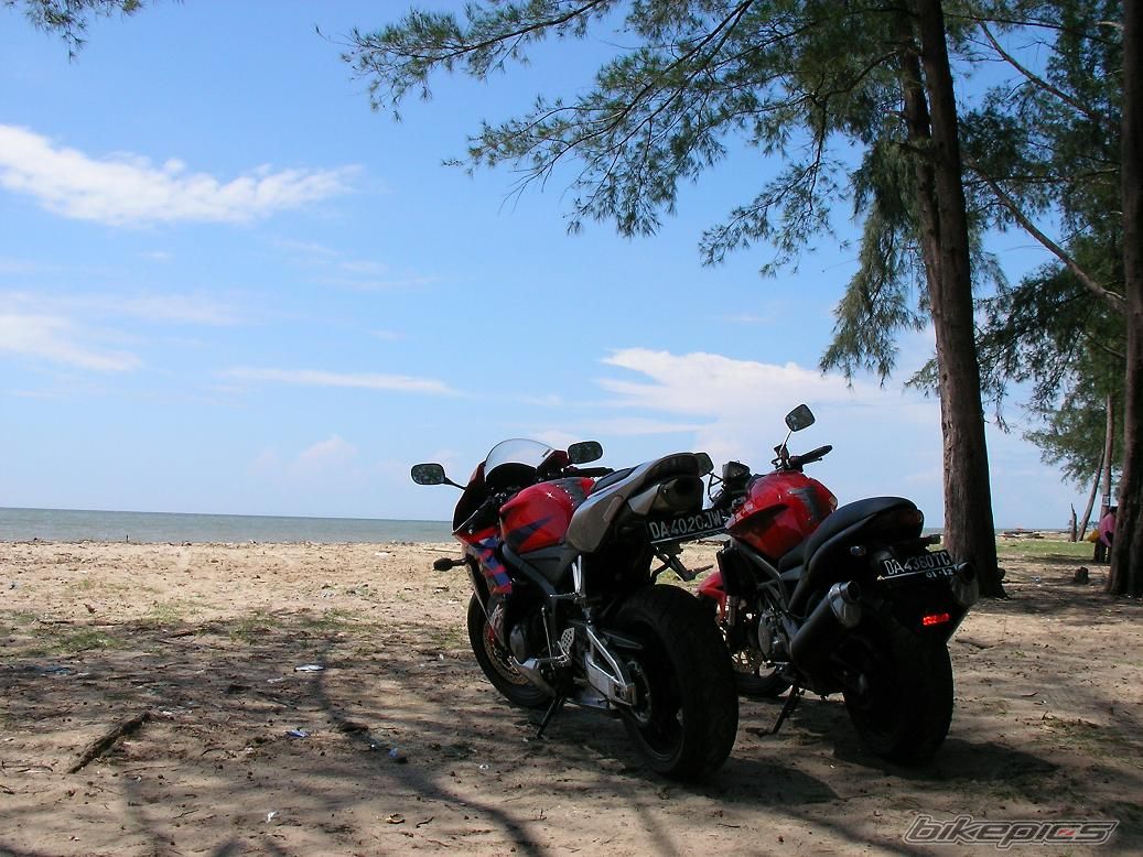 2005 HONDA CBR 600 | Picture 798600 motorcycle photo