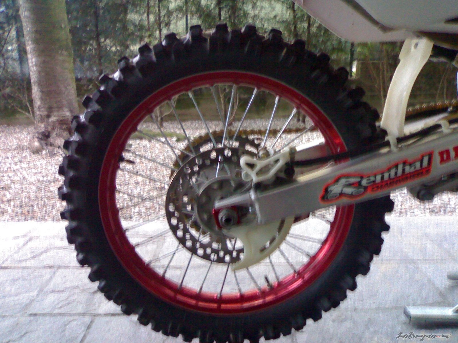    | Picture 798818 motorcycle photo