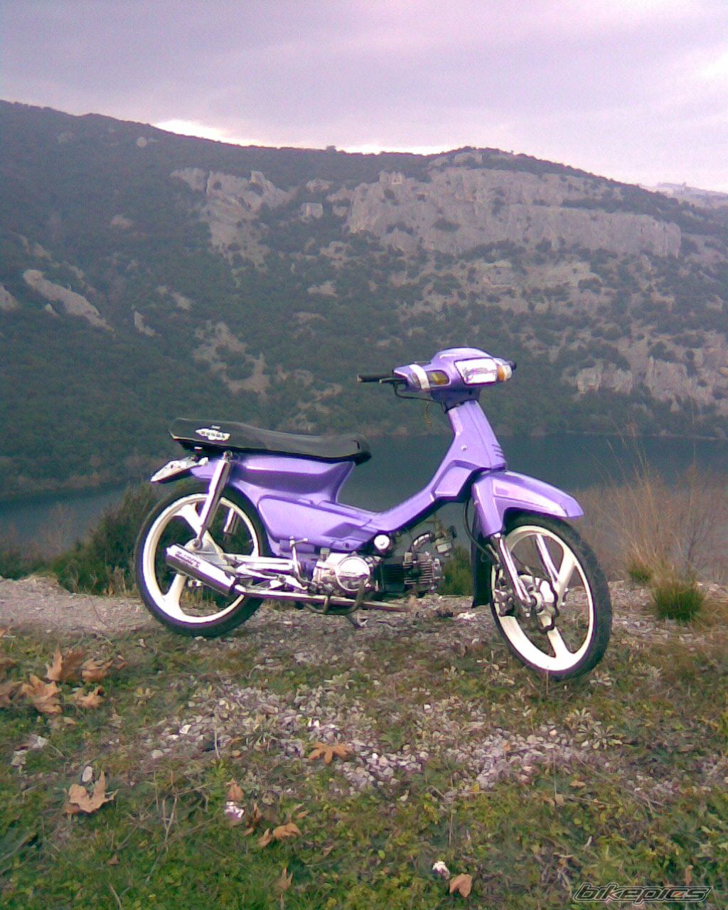 2007 HONDA GLX 50 | Picture 798871 motorcycle photo