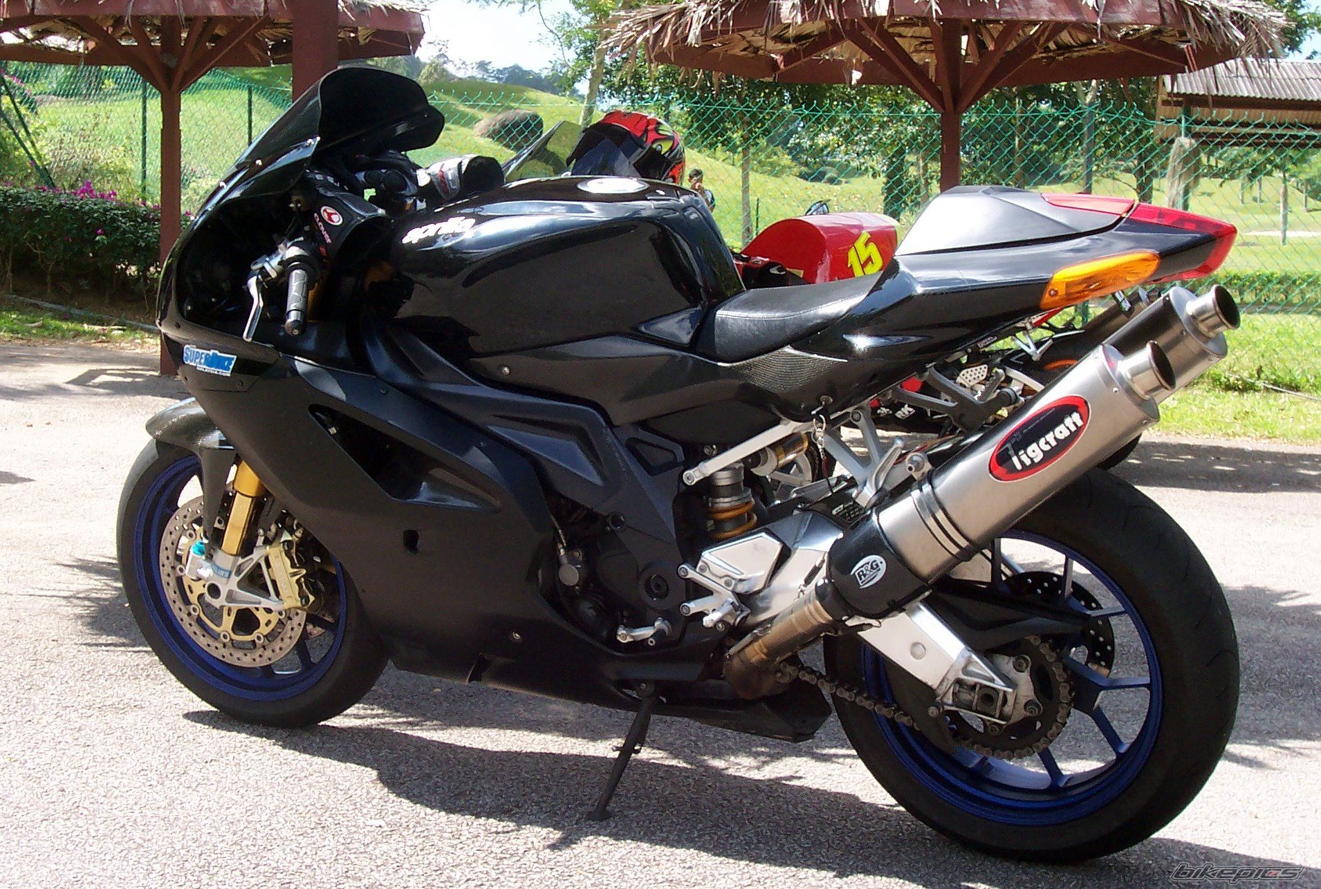 2004 APRILIA RSV MILLE FACTORY | Picture 799124 motorcycle photo