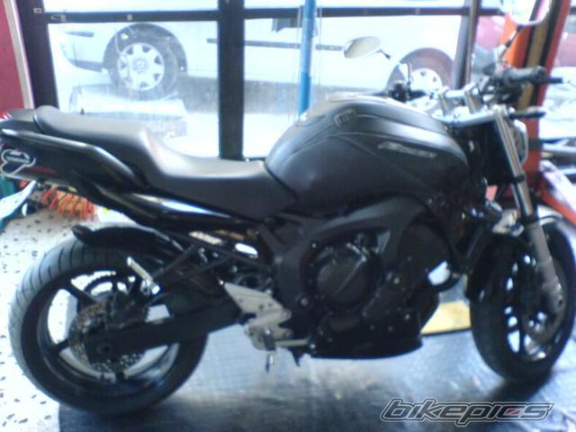 2005 YAMAHA FZ6 FAZER | Picture 799221 motorcycle photo