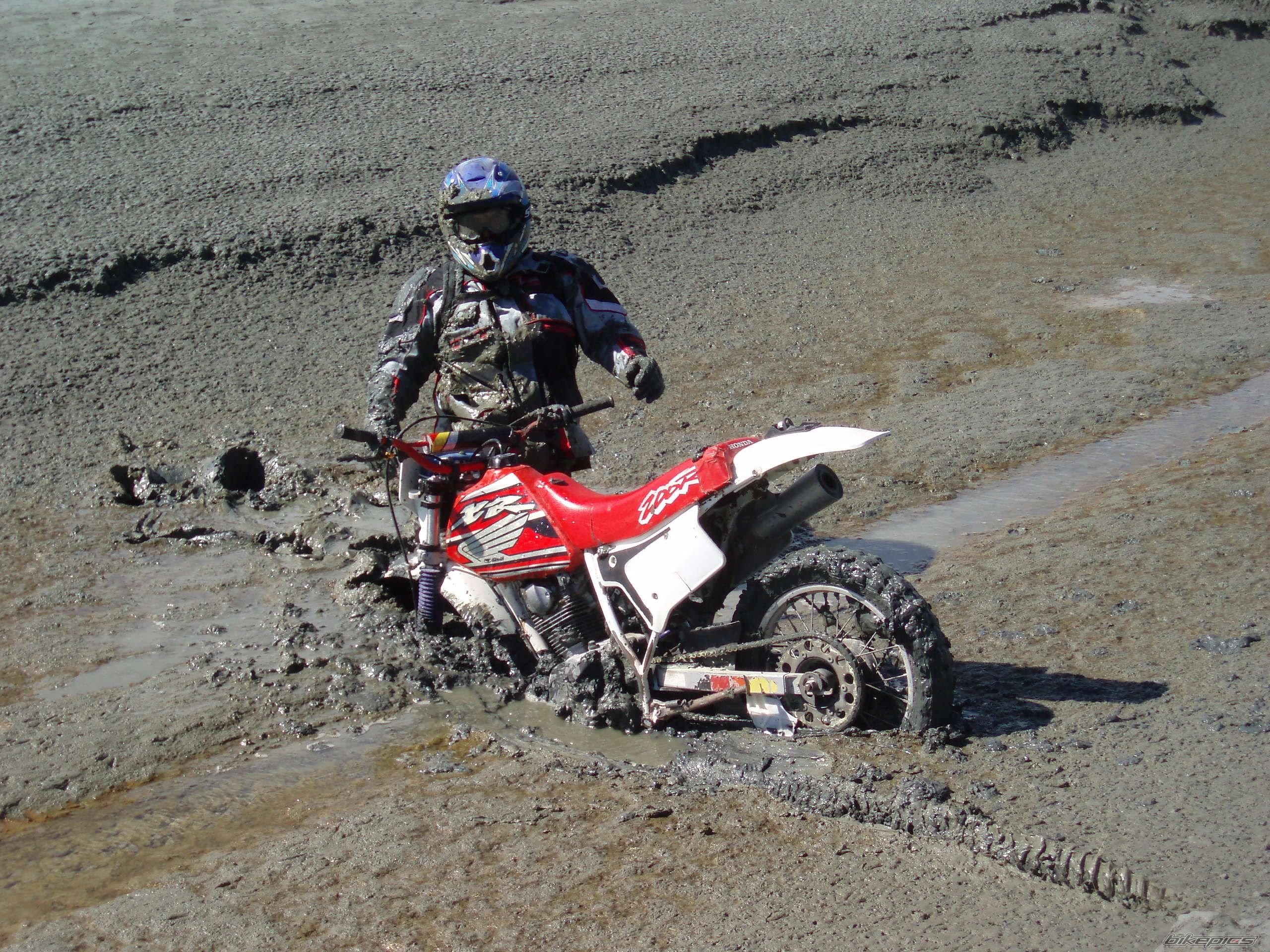 2006 HONDA XR 250 | Picture 799364 motorcycle photo