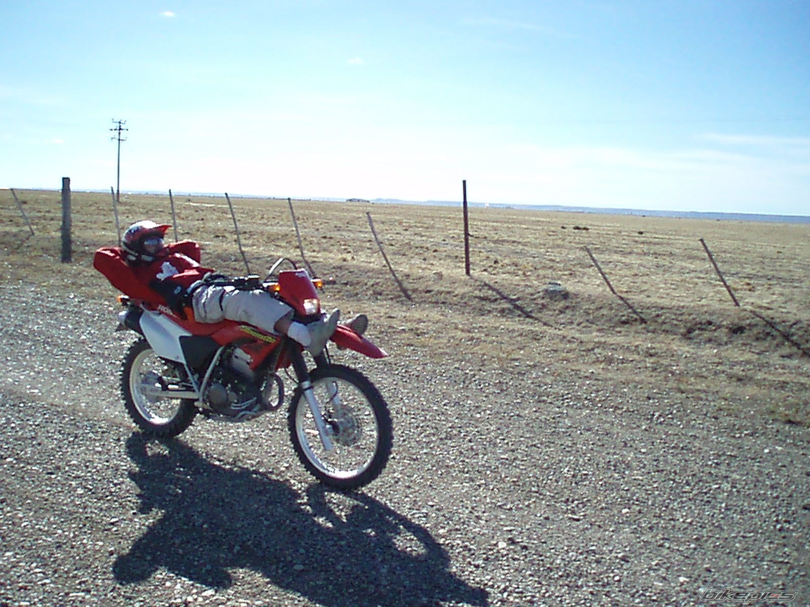 2006 HONDA XR 250 | Picture 799366 motorcycle photo