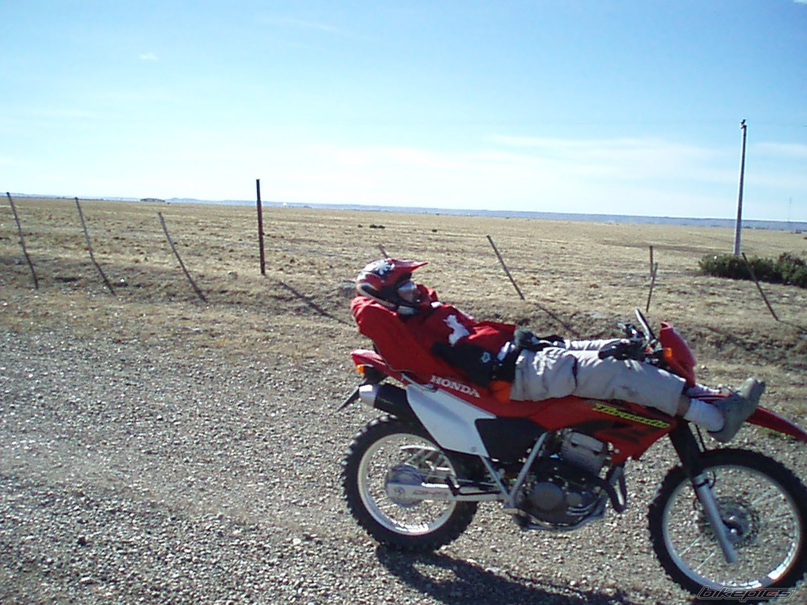 2006 HONDA XR 250 | Picture 799367 motorcycle photo