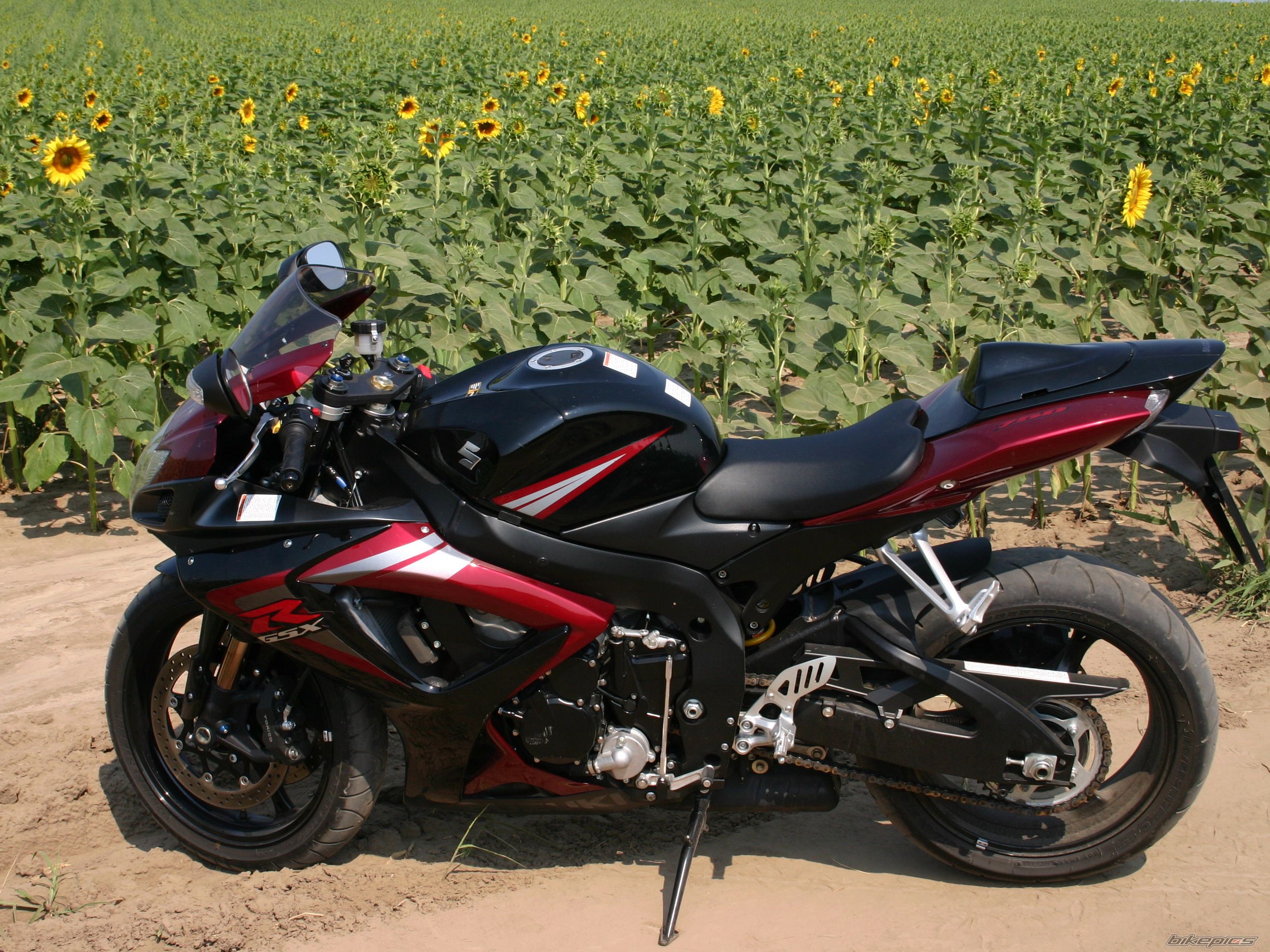 2006 SUZUKI GSX R 750 | Picture 799697 motorcycle photo