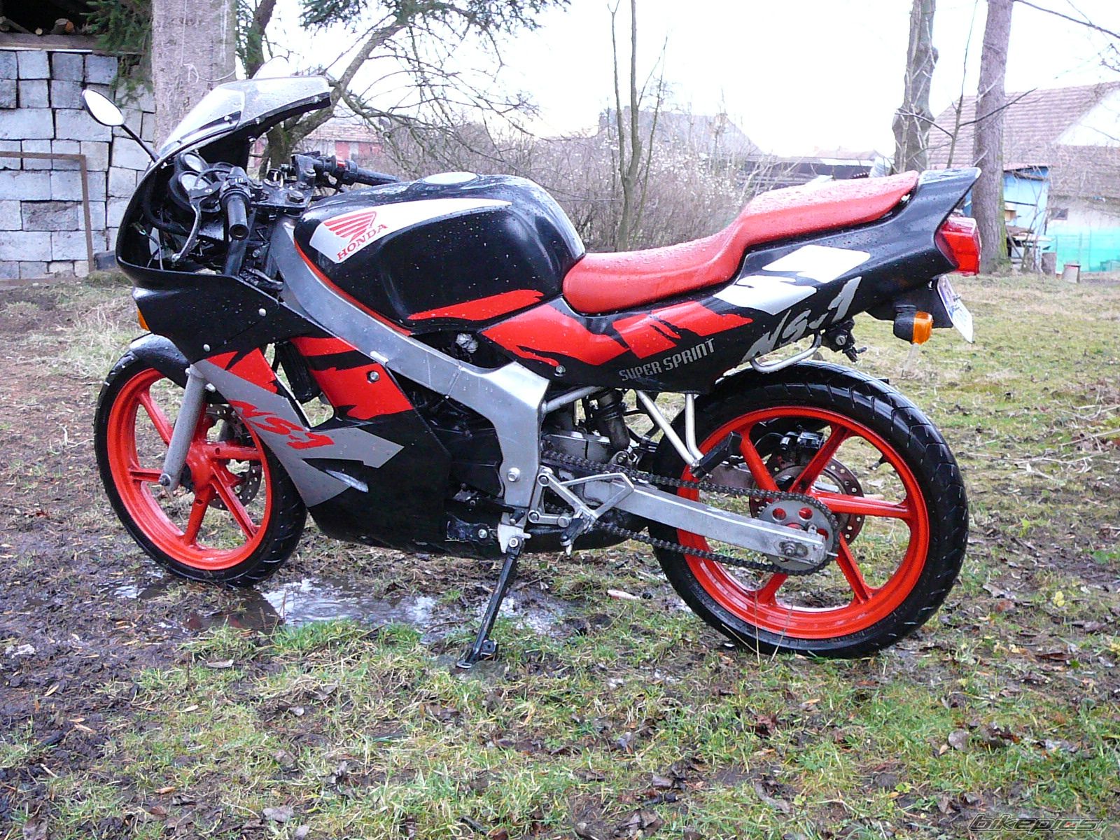 1995 HONDA NS1 80 | Picture 799740 motorcycle photo