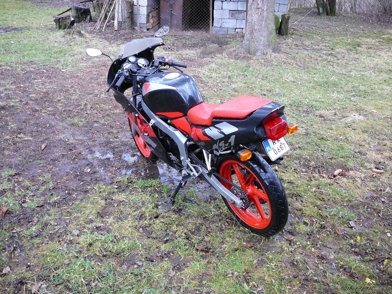 1995 HONDA NS1 80 | Picture 799745 motorcycle photo