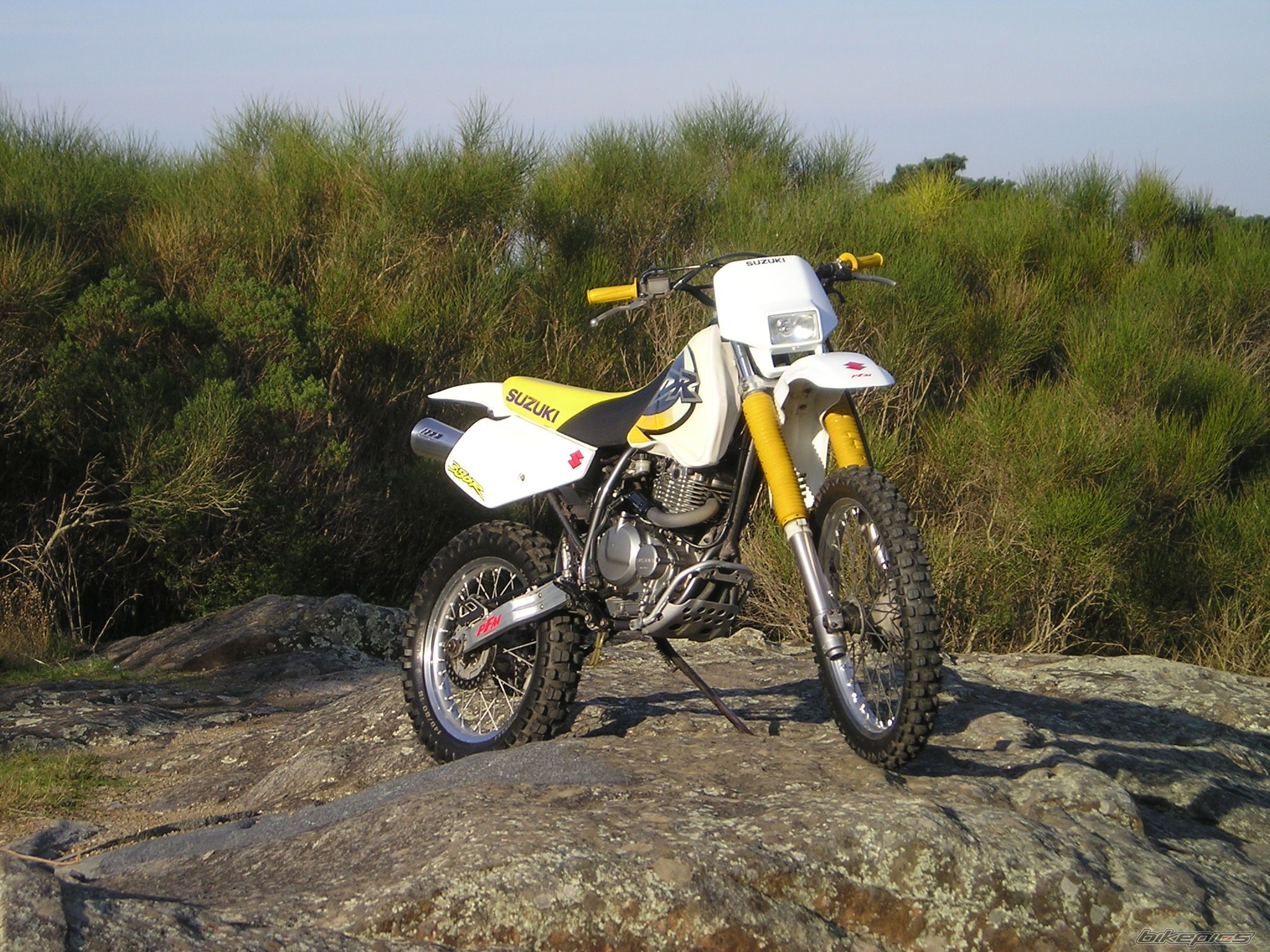 1997 SUZUKI DR 350 | Picture 800794 motorcycle photo
