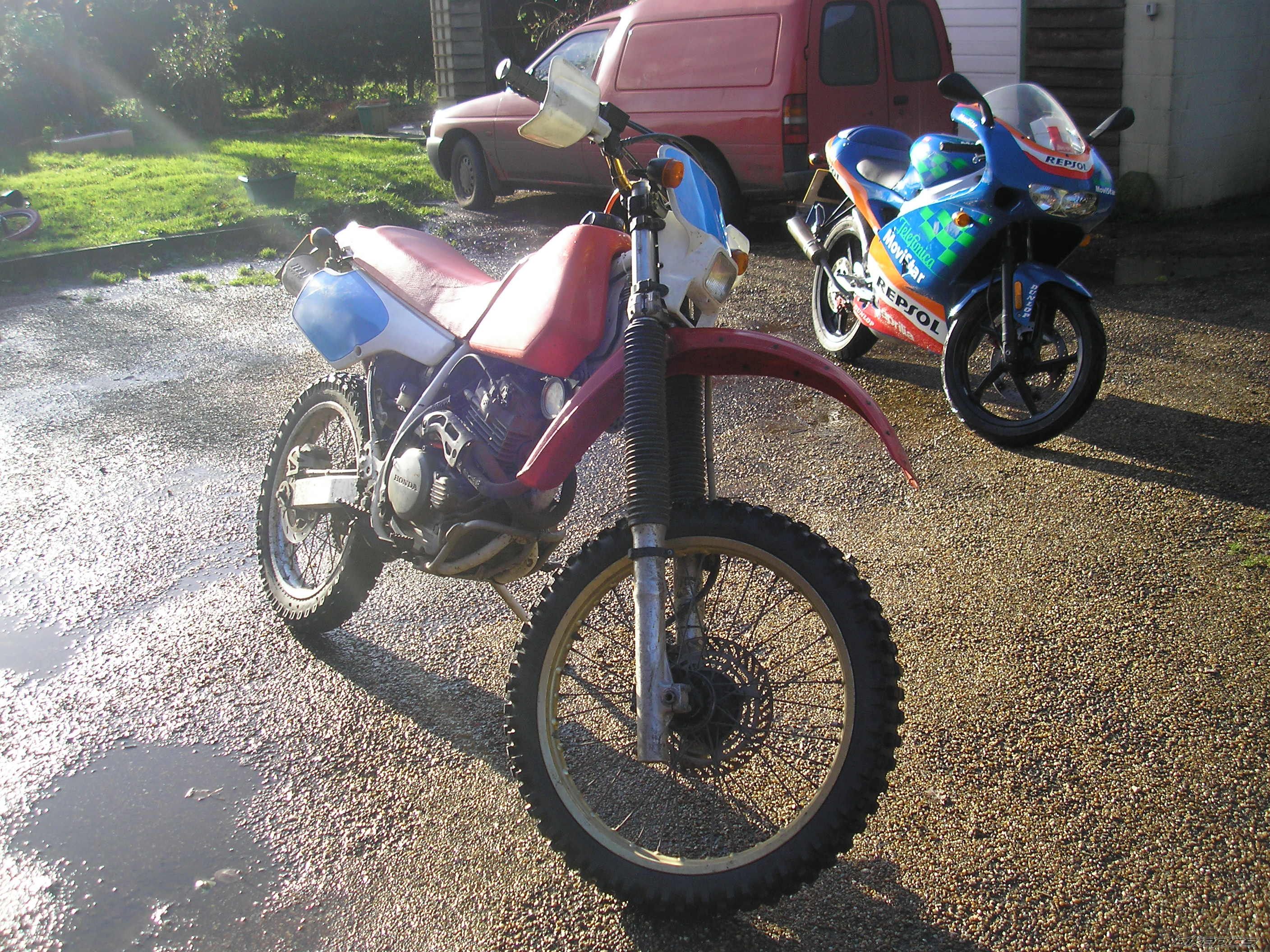 1990 HONDA XR 250 | Picture 800846 motorcycle photo
