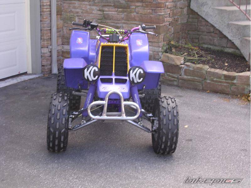 1994 YAMAHA BANSHEE | Picture 80088 motorcycle photo