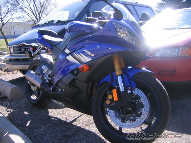 2006 YAMAHA YZF R6 | Picture 801015 motorcycle photo