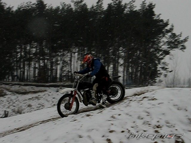 1989 CZ 250 CROSS | Picture 801205 motorcycle photo