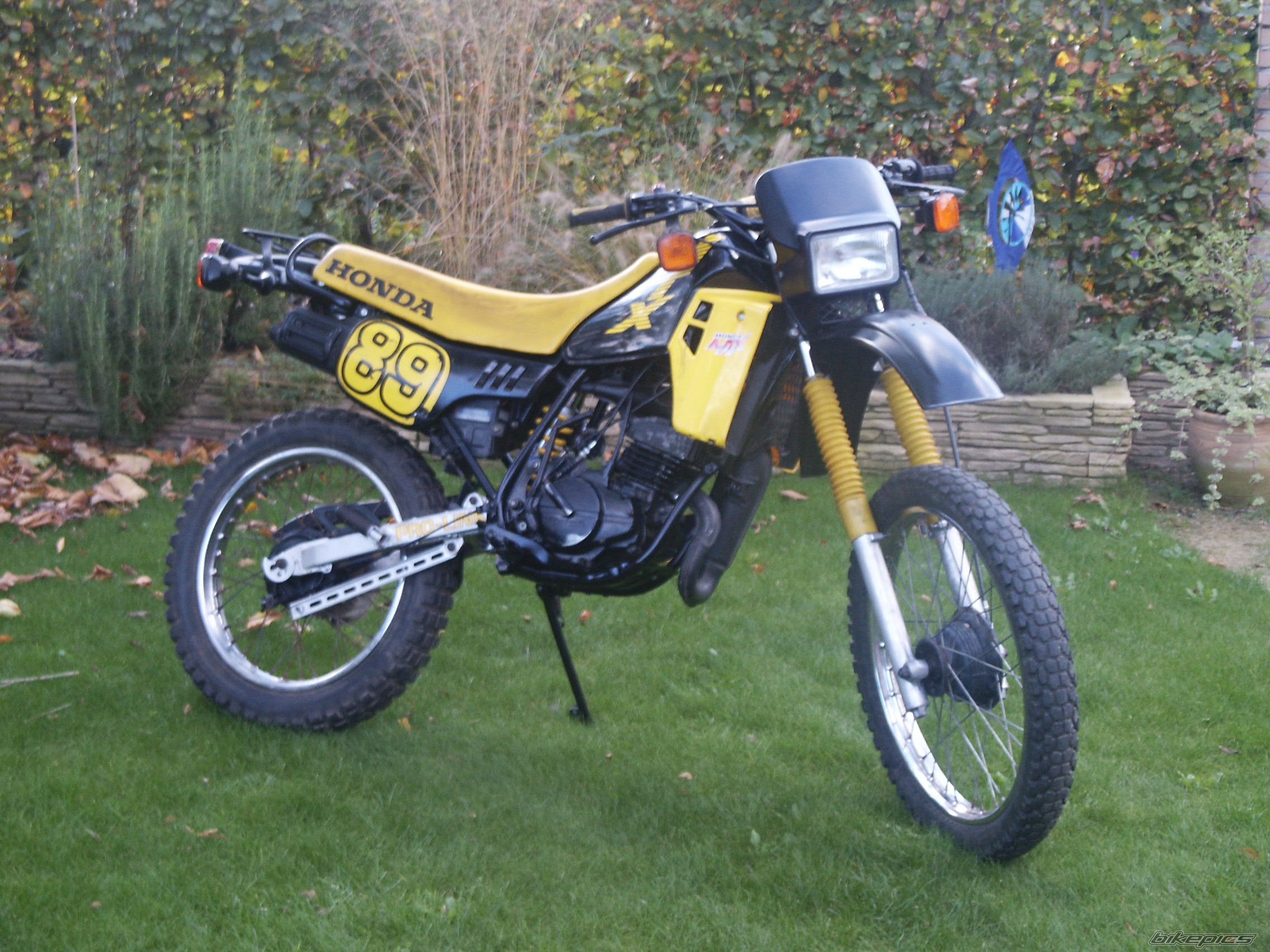 1989 HONDA MTX 50 | Picture 801397 motorcycle photo