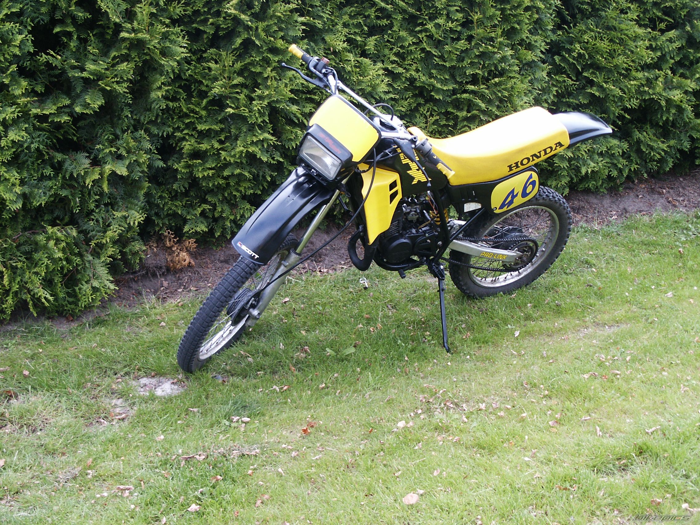 1989 HONDA MTX 50 | Picture 801403 motorcycle photo