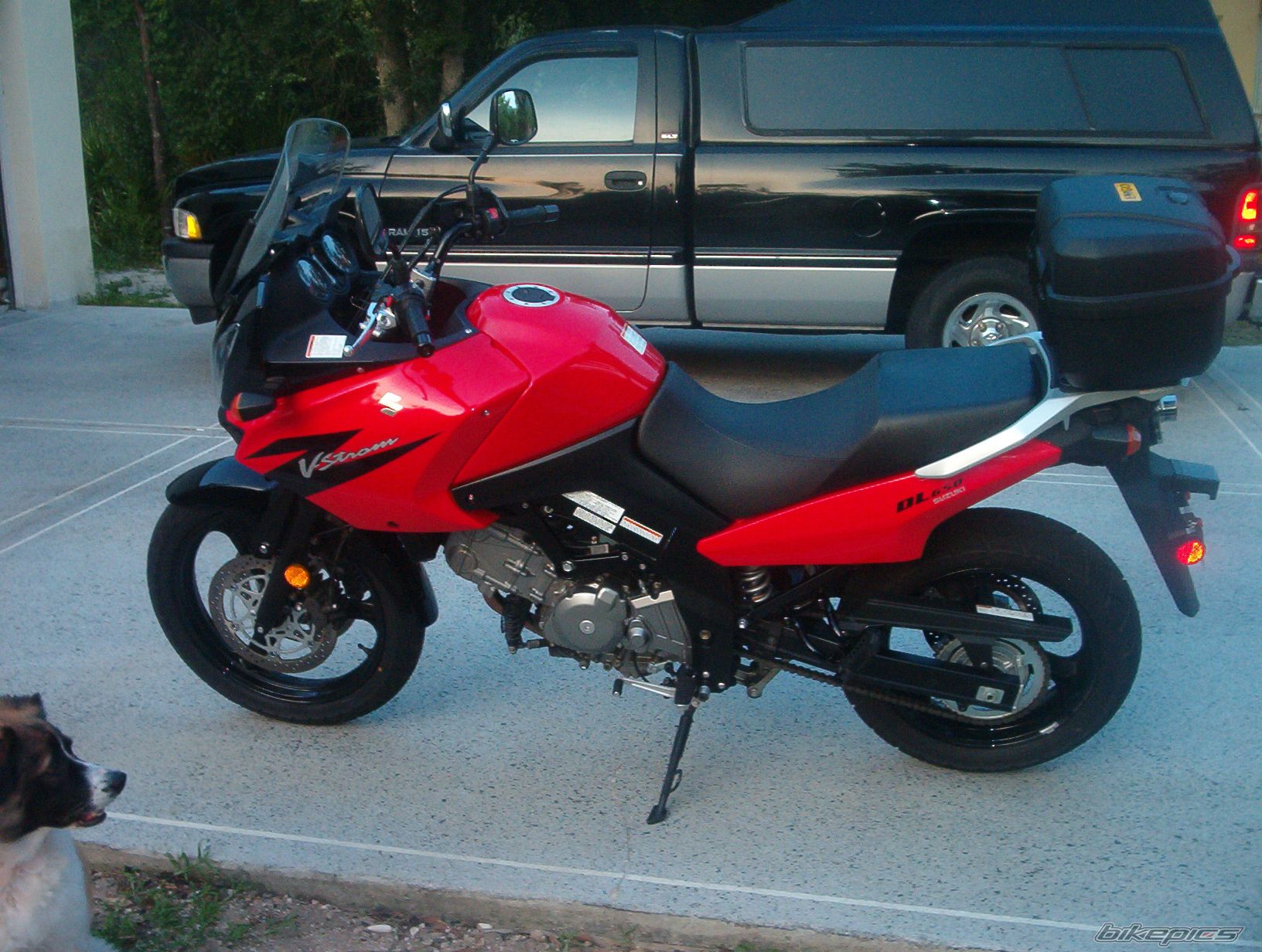 2005 SUZUKI DL 650 | Picture 801678 motorcycle photo