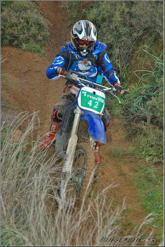 1998 YAMAHA YZ 125 | Picture 802155 motorcycle photo