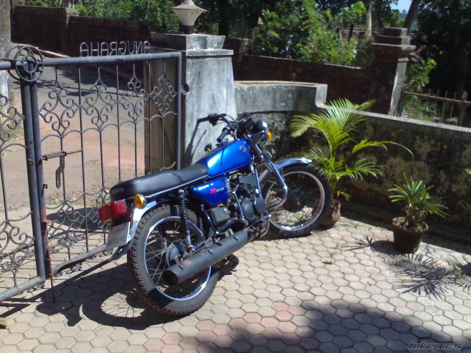2000 YAMAHA RX 135 | Picture 802227 motorcycle photo