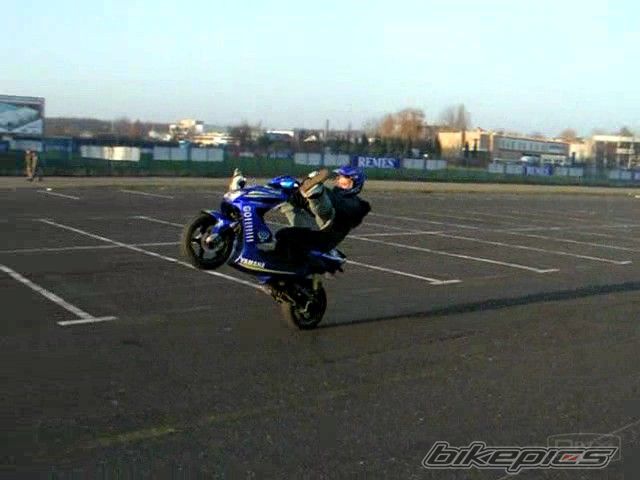 2005 YAMAHA AEROX 50 | Picture 802374 motorcycle photo