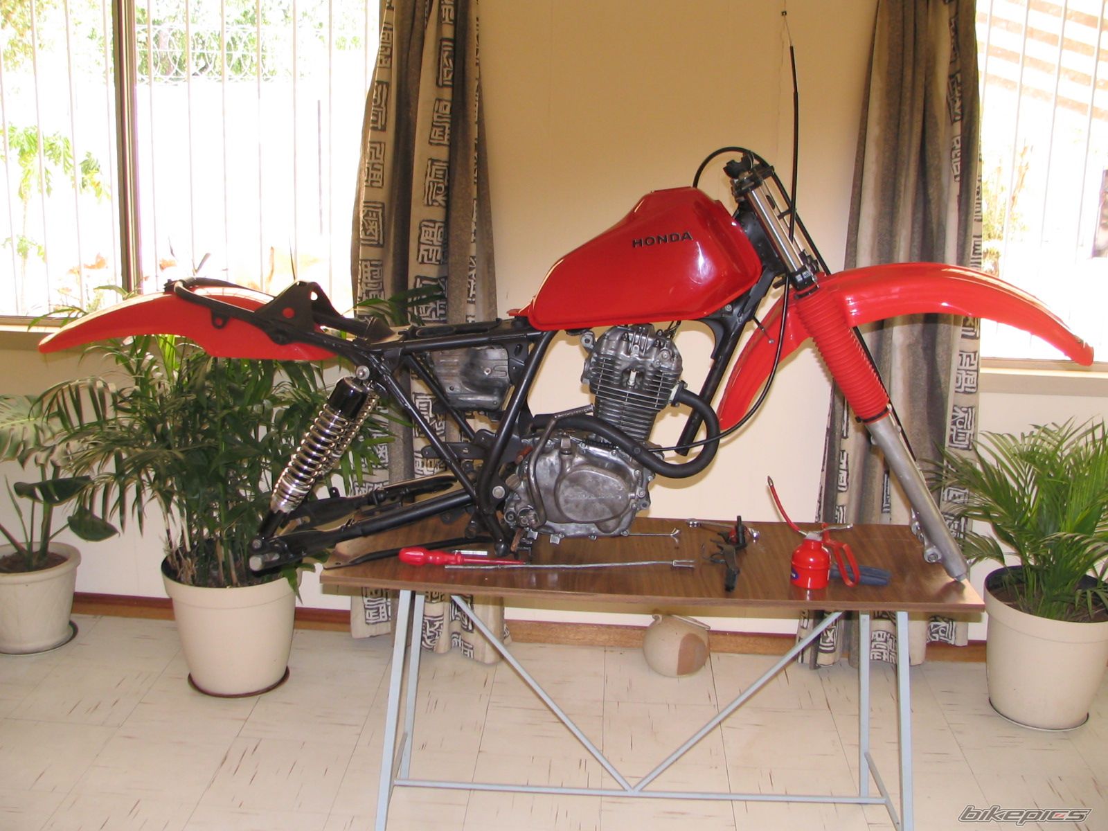 1983 HONDA XL 185 | Picture 802869 motorcycle photo